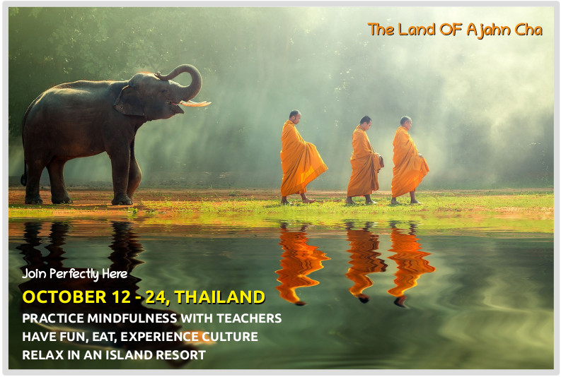 Thailand, Ajahn Cha, Monks & Elephants