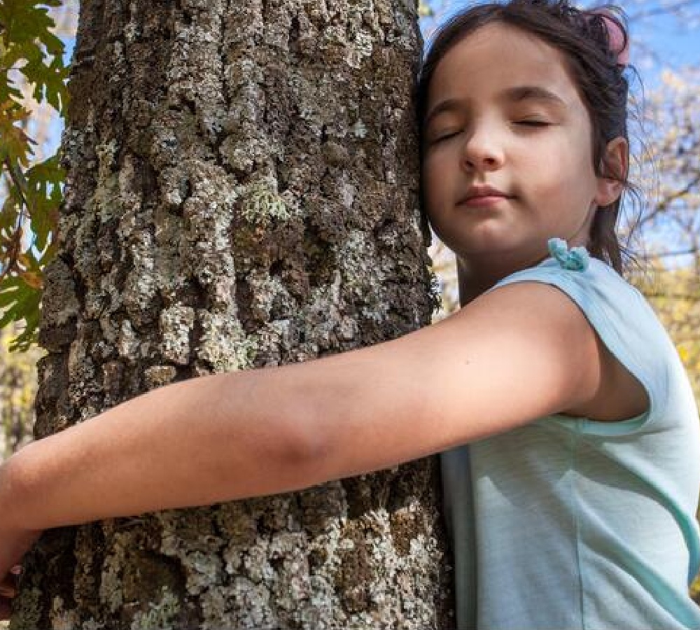 Impact-of-Nature-Deficit-Disorder-pic