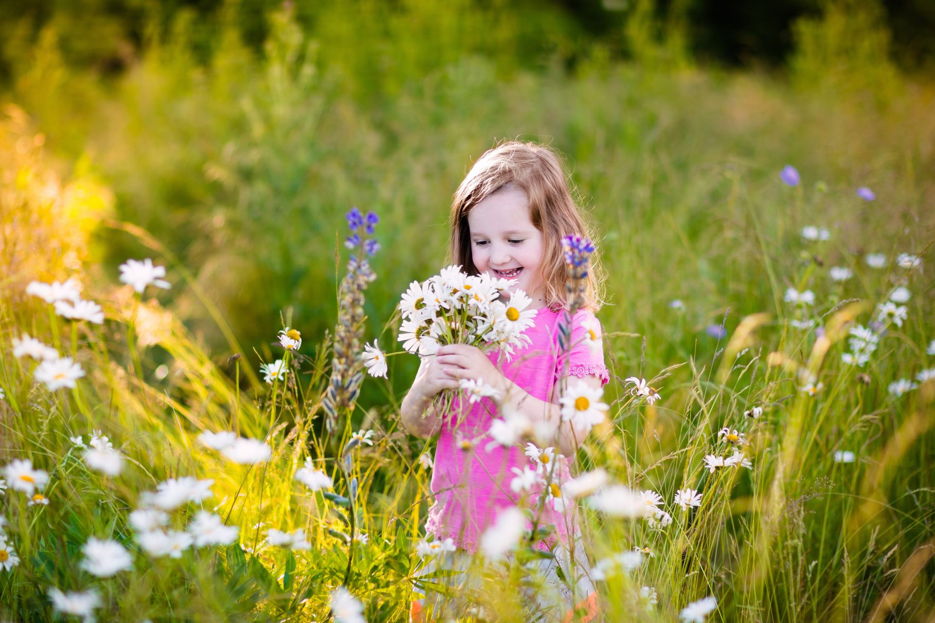 Little girl in daisy flower field