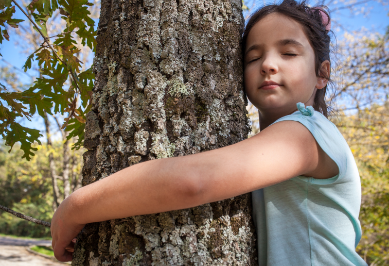 Child holding tree, 800