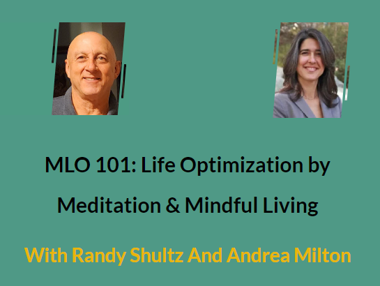 Life Optimization, Meditation, Mindful Living Mindfulness Meditation