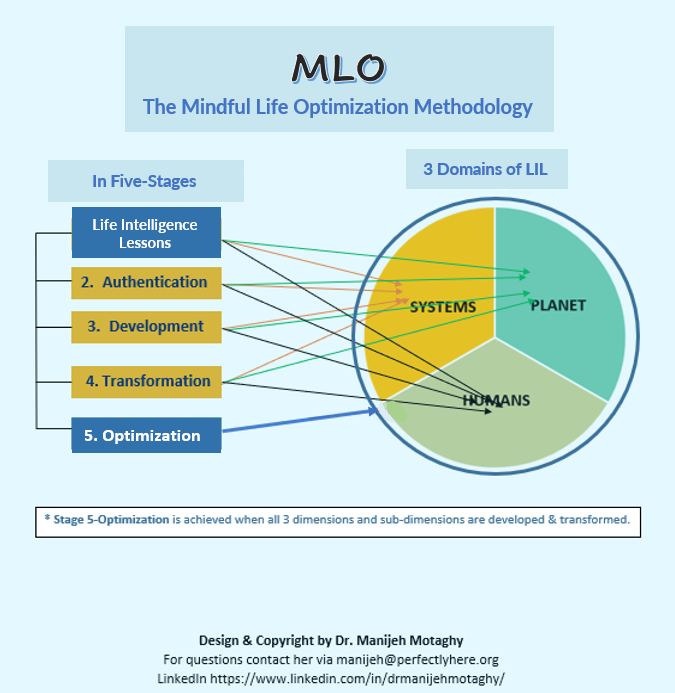MLO Methodology