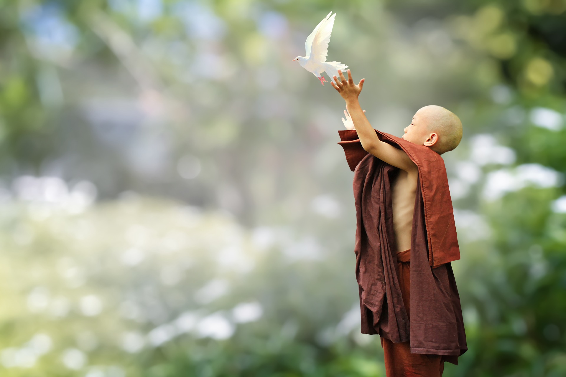 monk releasing the heart.