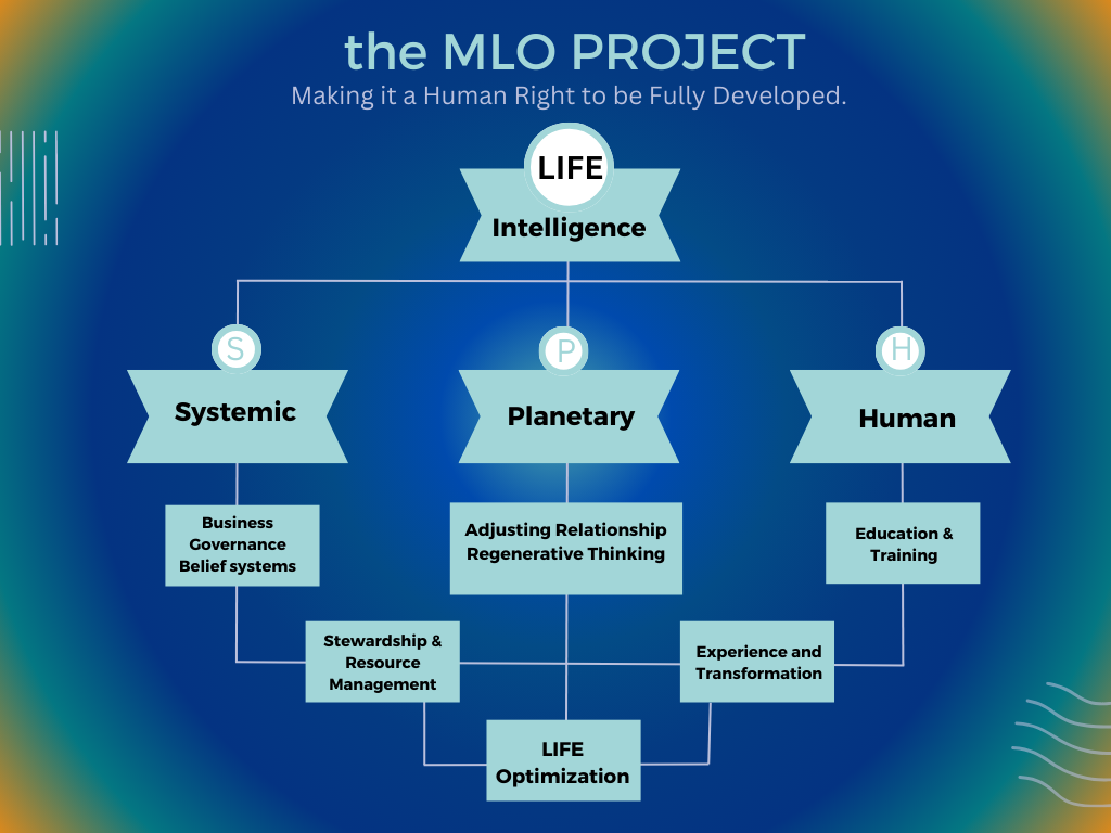 the MLO PROJECT (1)